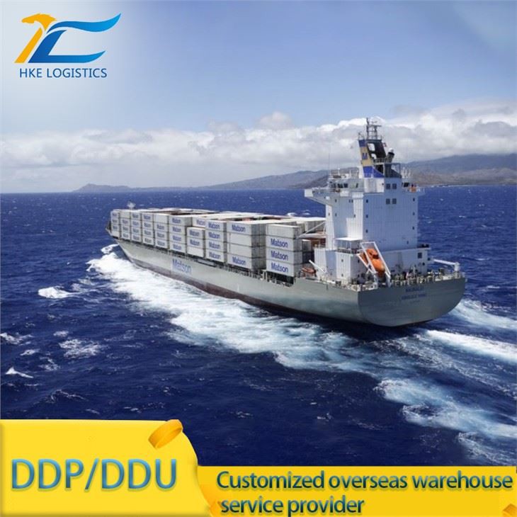 SUA Ddp Shipping Amazon FBA Freight Forwarder Agent de expediere